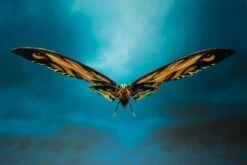 Bandai Godzilla: King Of The Monsters S.H.MonsterArts Mothra & Rodan Two-Pack -Cheap Figures Store 05911924 9fb9 4e89 922b 71b0a6dde503